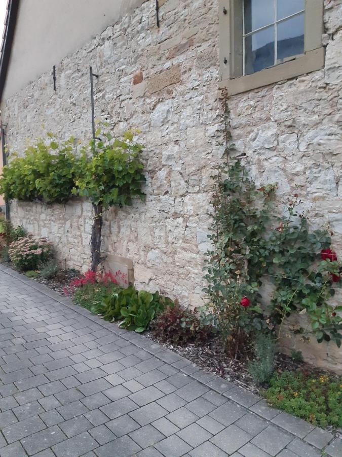 Fewo Koerner Seinsheim Im Weinparadies Exterior photo